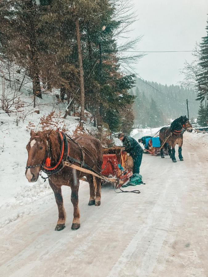 Apartamenty Przy Strumyku Szczawnica Bagian luar foto